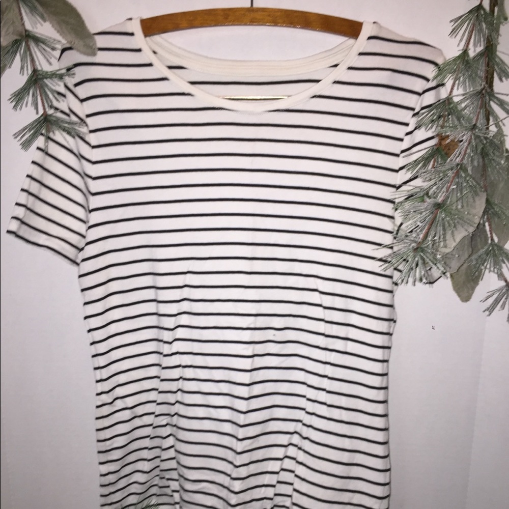 Fitted T-Shirt